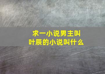 求一小说男主叫叶辰的小说叫什么