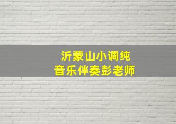 沂蒙山小调纯音乐伴奏彭老师