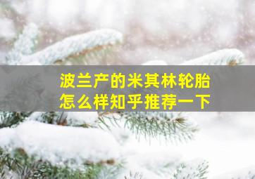 波兰产的米其林轮胎怎么样知乎推荐一下