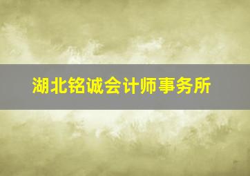 湖北铭诚会计师事务所