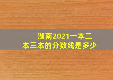 湖南2021一本二本三本的分数线是多少