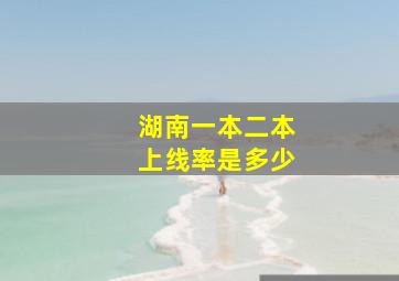 湖南一本二本上线率是多少