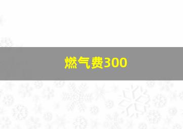 燃气费300