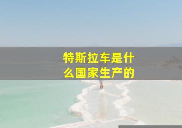 特斯拉车是什么国家生产的