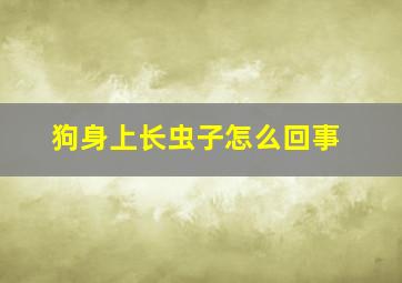 狗身上长虫子怎么回事