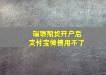 瑞银期货开户后支付宝微信用不了