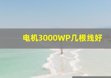 电机3000WP几根线好