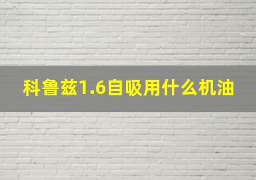 科鲁兹1.6自吸用什么机油