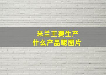 米兰主要生产什么产品呢图片