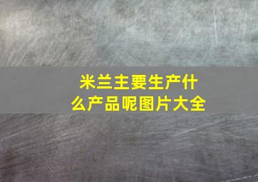 米兰主要生产什么产品呢图片大全