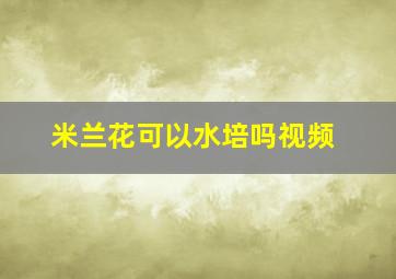 米兰花可以水培吗视频