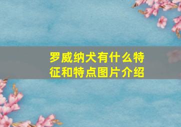 罗威纳犬有什么特征和特点图片介绍