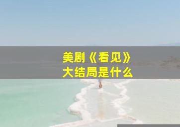 美剧《看见》大结局是什么