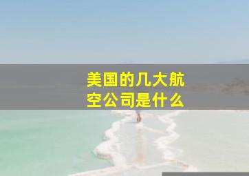 美国的几大航空公司是什么