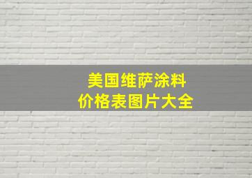 美国维萨涂料价格表图片大全