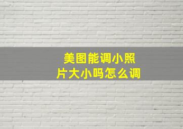 美图能调小照片大小吗怎么调