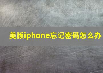 美版iphone忘记密码怎么办