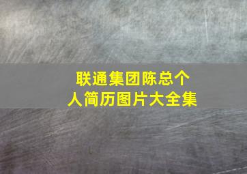 联通集团陈总个人简历图片大全集