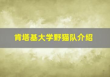 肯塔基大学野猫队介绍