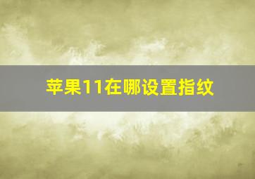 苹果11在哪设置指纹