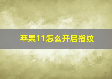 苹果11怎么开启指纹