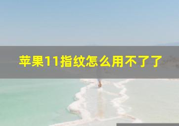 苹果11指纹怎么用不了了