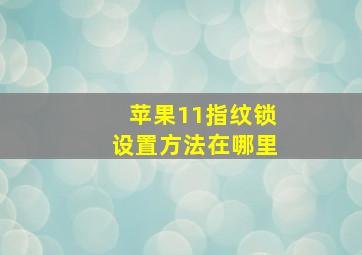 苹果11指纹锁设置方法在哪里