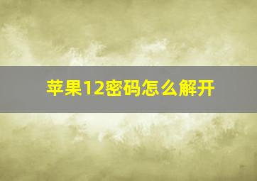 苹果12密码怎么解开