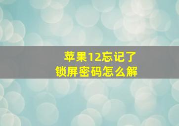 苹果12忘记了锁屏密码怎么解