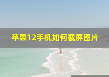 苹果12手机如何截屏图片