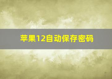 苹果12自动保存密码