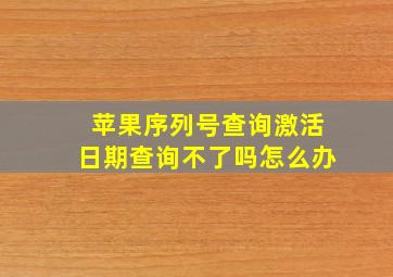 苹果序列号查询激活日期查询不了吗怎么办