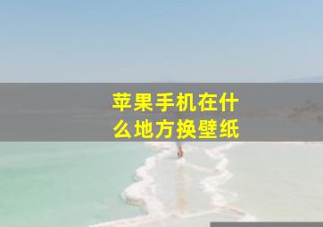 苹果手机在什么地方换壁纸