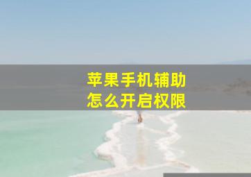 苹果手机辅助怎么开启权限