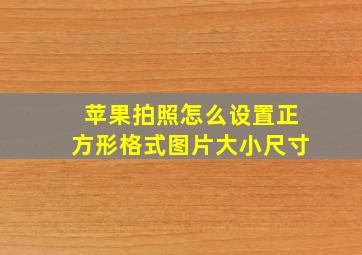 苹果拍照怎么设置正方形格式图片大小尺寸