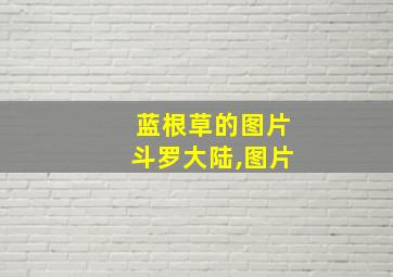 蓝根草的图片斗罗大陆,图片