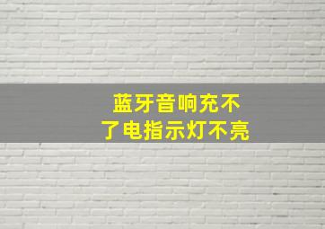 蓝牙音响充不了电指示灯不亮