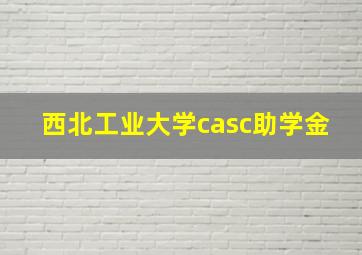 西北工业大学casc助学金