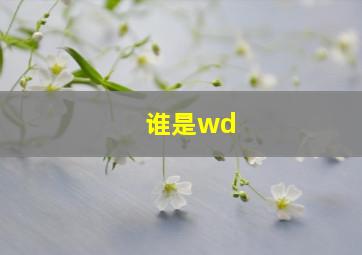 谁是wd