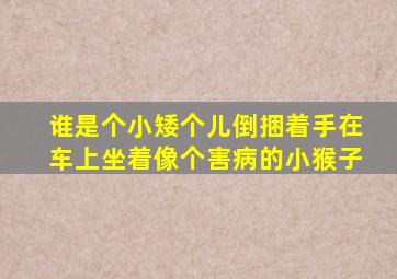 谁是个小矮个儿倒捆着手在车上坐着像个害病的小猴子