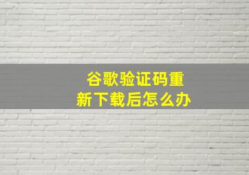 谷歌验证码重新下载后怎么办