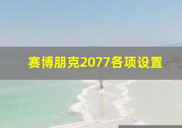 赛博朋克2077各项设置