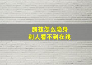 赫兹怎么隐身别人看不到在线