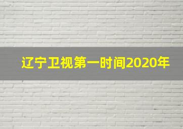 辽宁卫视第一时间2020年