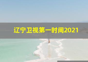 辽宁卫视第一时间2021