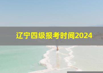 辽宁四级报考时间2024