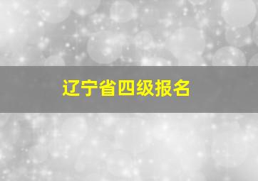 辽宁省四级报名