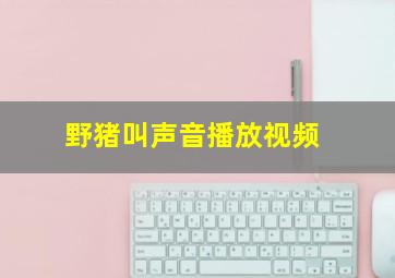 野猪叫声音播放视频