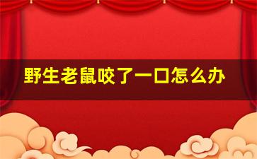 野生老鼠咬了一口怎么办