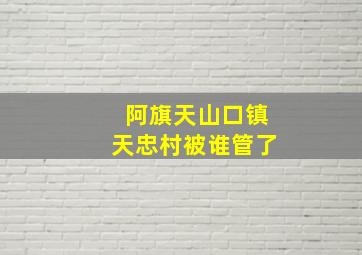 阿旗天山口镇天忠村被谁管了